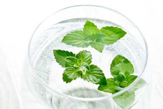 For a refreshing livelihood this hot summer, try the mint water, which is often considered an ideal ingredient due to its cooling properties